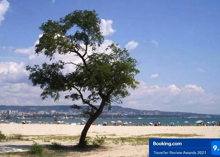 Relax In South Bay